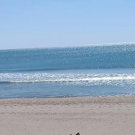 2 Pièces Accès Direct Plage, Animaux Acceptés, Parking - Fr-1-387-193
